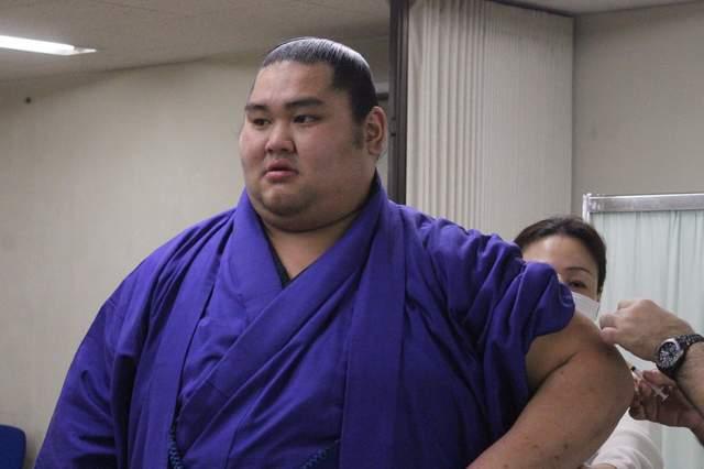 相扑千代富士身高体重图片
