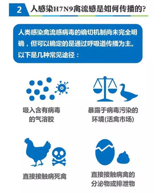 关于h7n9禽流感,四张图告诉你想知道的一切!