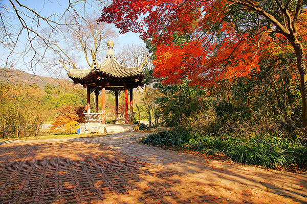 南京钟山风景区