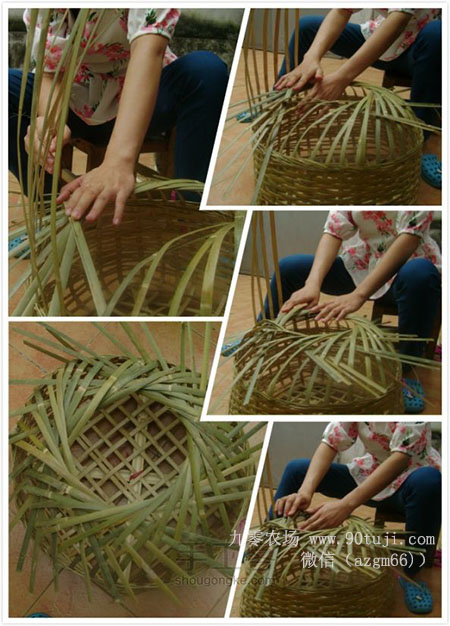 编织鸡笼的动作图片