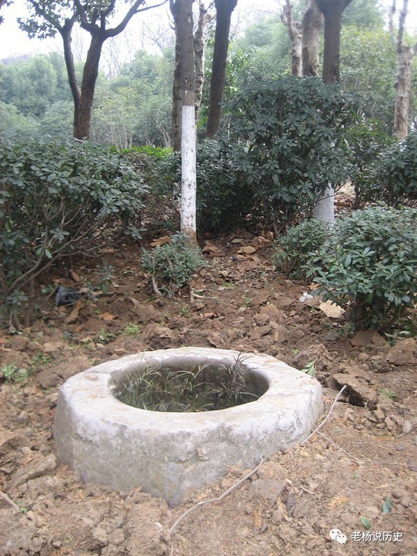 你知道天隆寺地鐵站但知道天隆寺在哪裡嗎南京寺廟