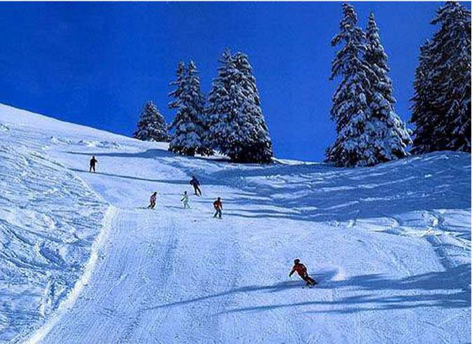 新立湖滑雪场图片
