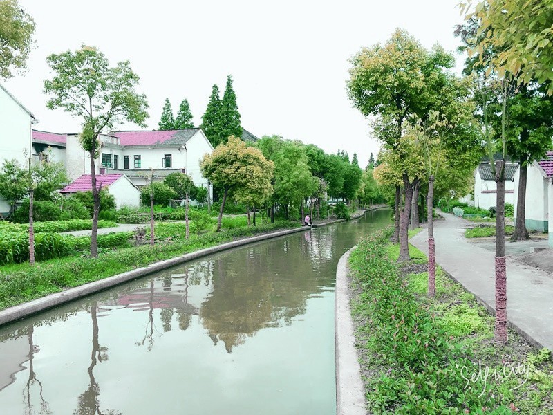 石湖蕩東夏,新浜南楊,泖港黃橋,松江這3個村莊入選