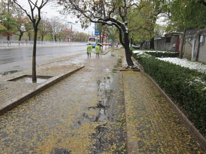 雨夹雪真实图片