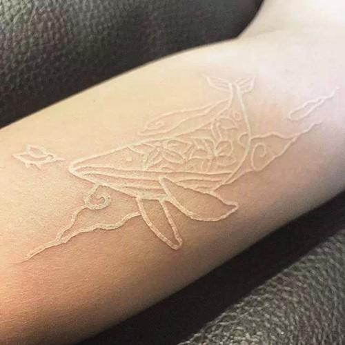 神秘的鸽子血纹身到底是什么真的有这种纹身吗