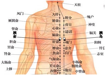 后背左腰部疼痛有哪些原因