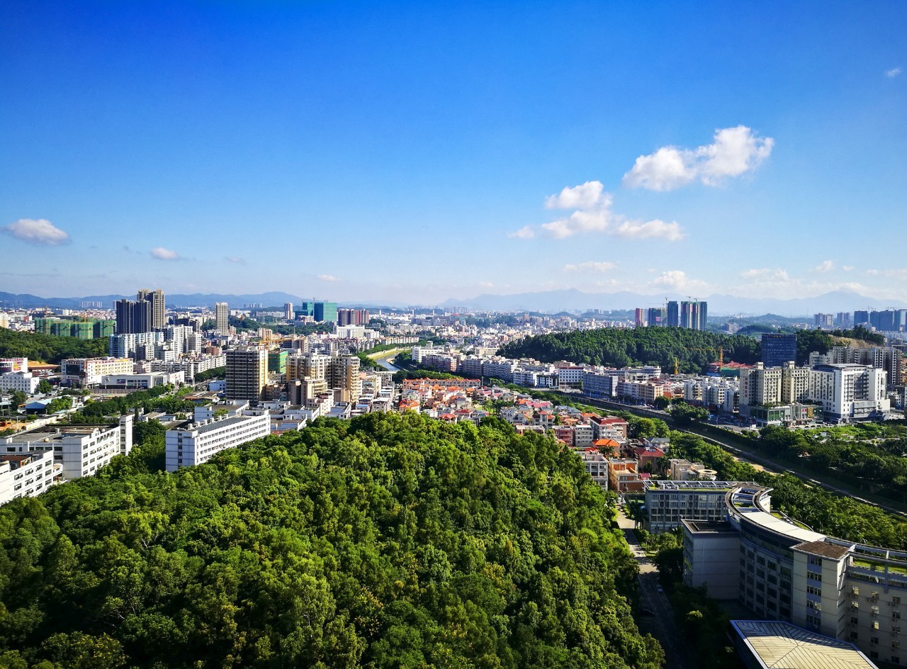 深圳龙华区怎么样图片