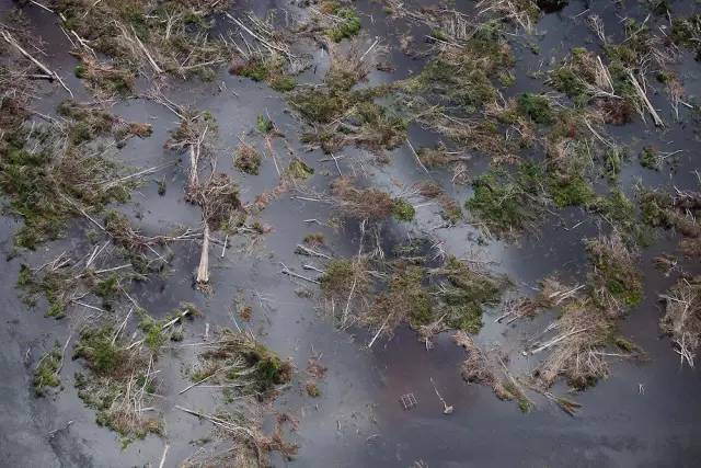 亚马逊热带雨林破坏图片