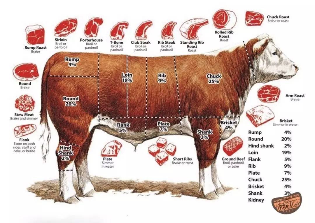 澳洲和牛部位解析图图片