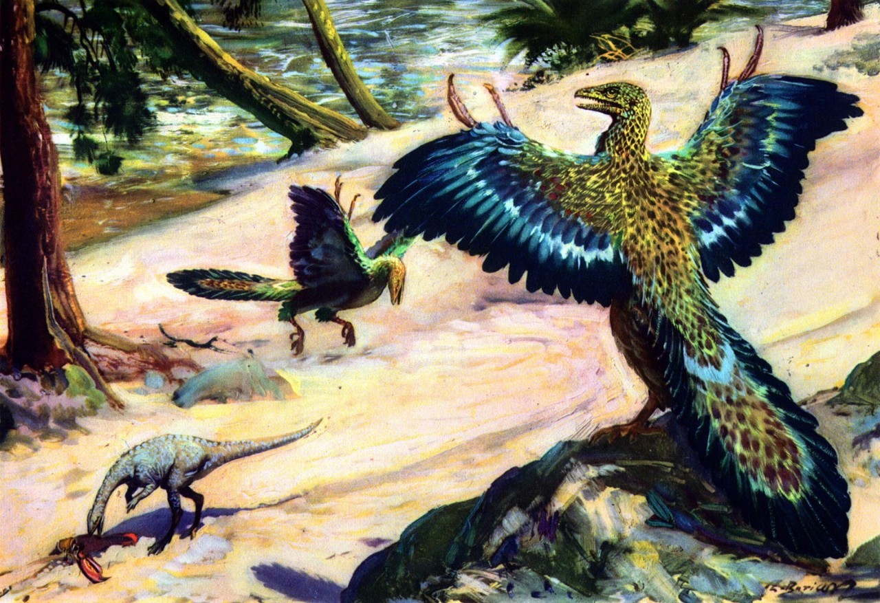 天上有始祖鸟,1亿5千万年前水里有鱼龙和蛇颈龙,2亿年前