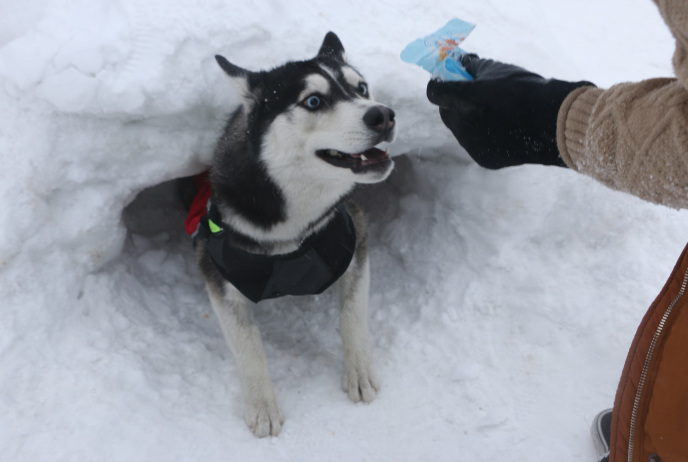 西嶺雪山第17屆南國冰雪節開幕 