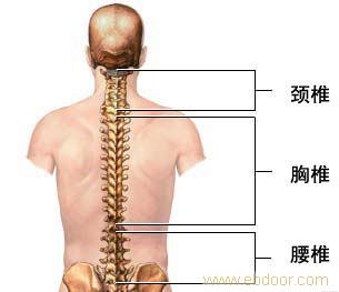 轻松治疗腰间盘突出6大方法