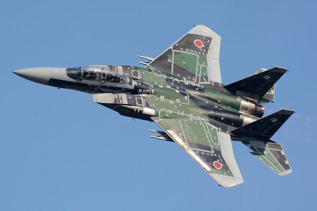 日本双发战斗机图片
