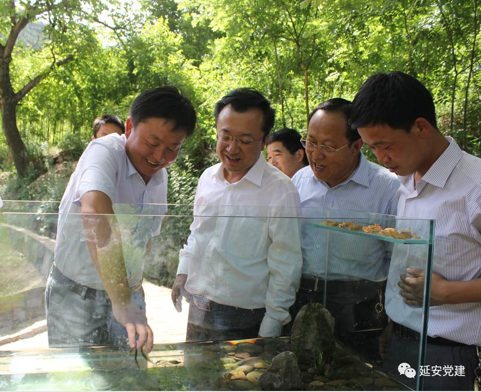 三年前,对陕西省延安市黄龙县来说,大闸蟹还是一项抉择,一份担当