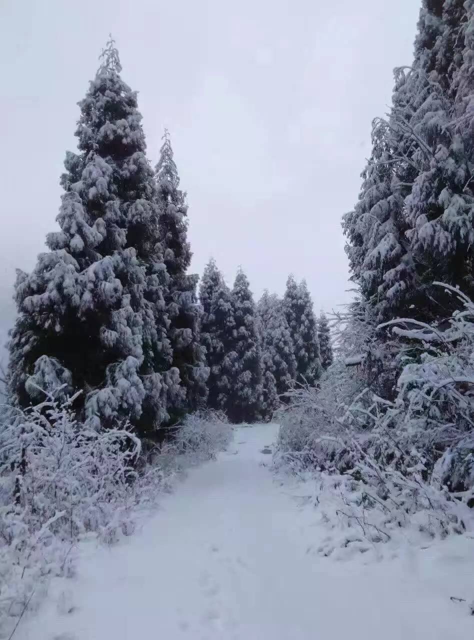 2017年彭州的第一场雪!