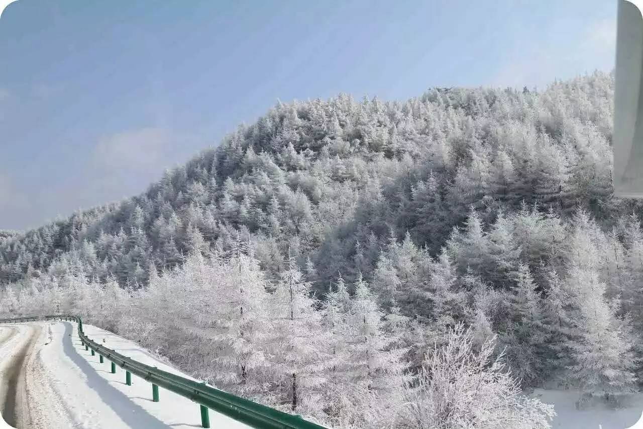 奉节三角坝雪景图片图片