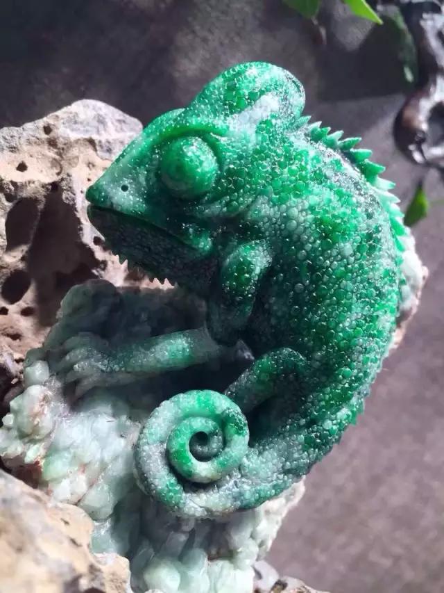 不起眼的翡翠原石,竟被雕成价值3000万的翡翠蜥蜴