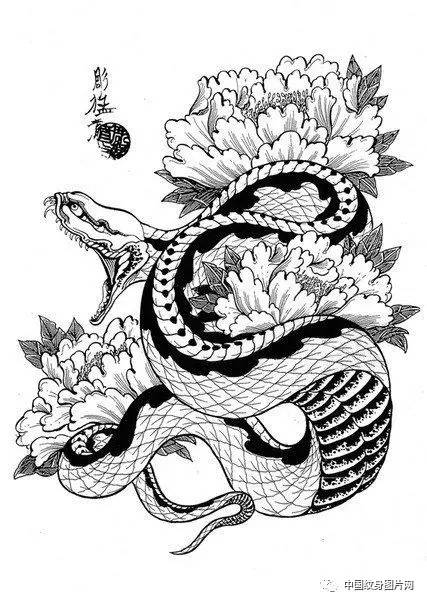 蛇身上的花纹怎么画图片