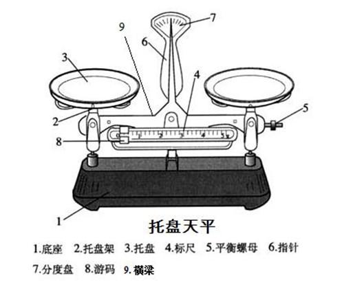 天平游码读数图解图片