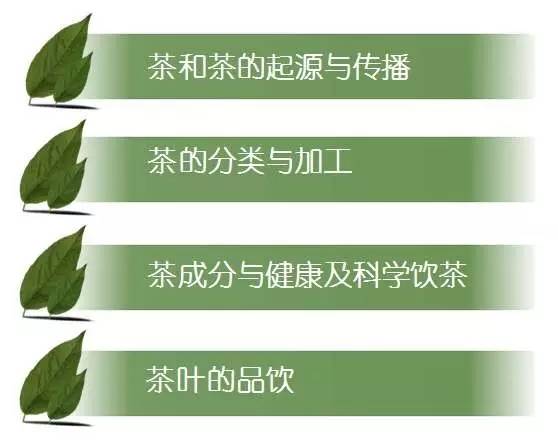 品茗|半山书房进社区—东方神叶的前世今生