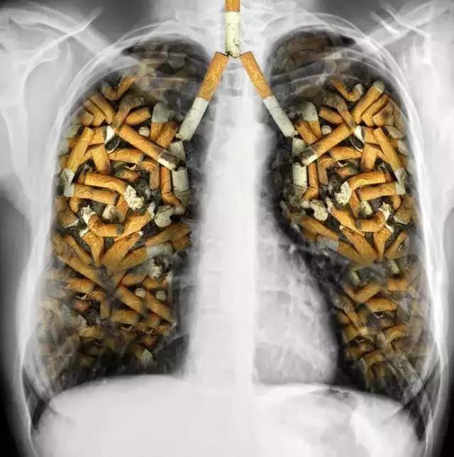 抽烟肺黑图片危害图片