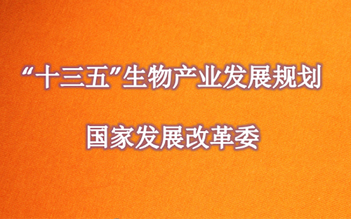 第十三个五年规划纲要》和"十三五"国家战略性新兴产业发展规划》