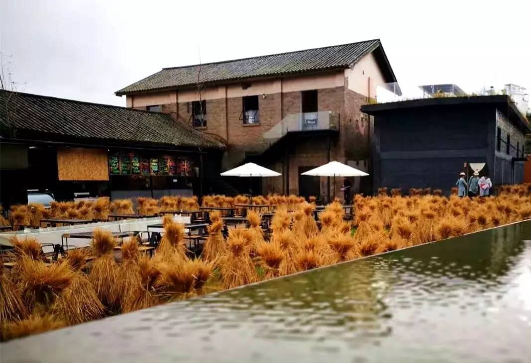 稻田里的餐桌,在台湾和云南,海峡两岸的美食革命