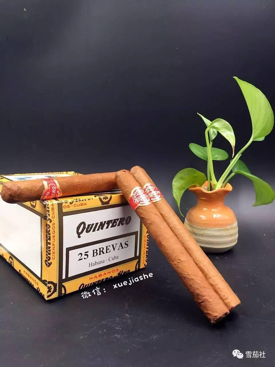 quintero雪茄图片