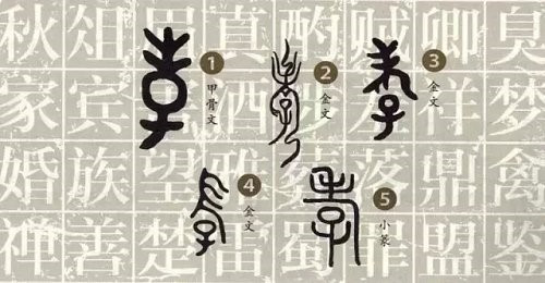 甲骨文(商)→金文(周)→小篆(秦)→隶书(汉)汉字是象形文字,最早的