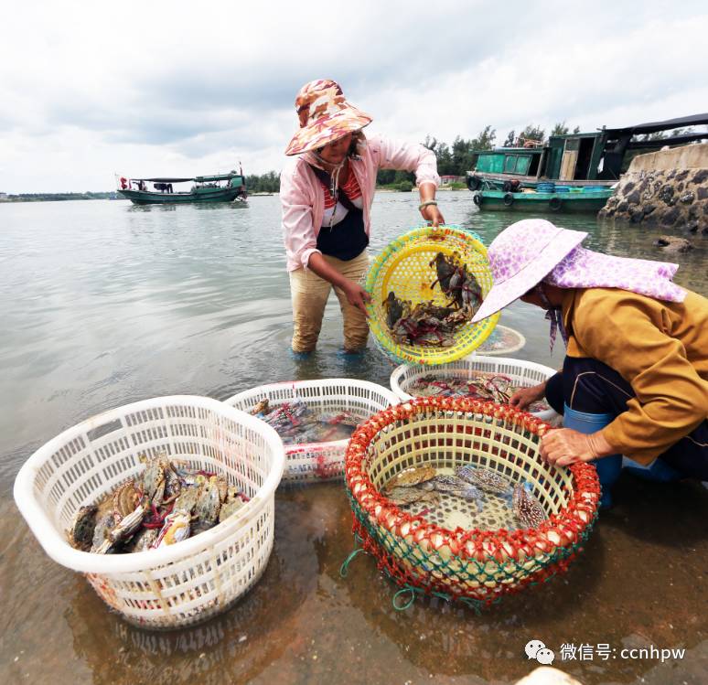 海南马村图片