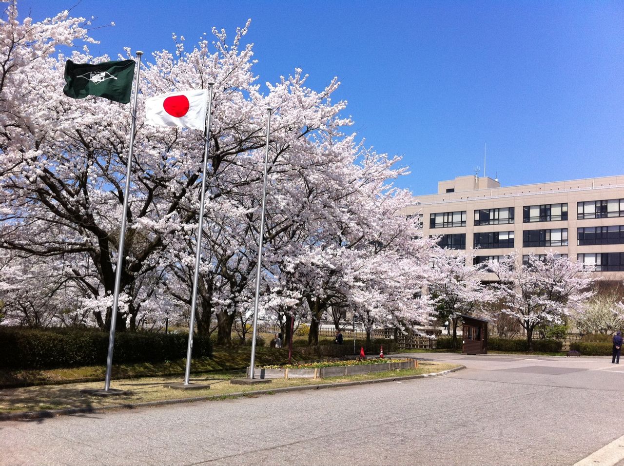 上日本短期大學一年半_日本的短期大學好考嗎