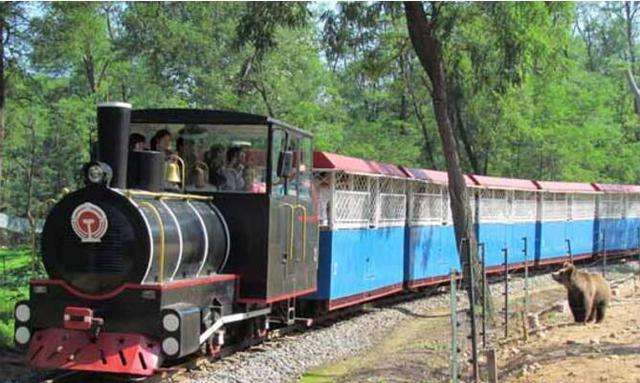 16年6月份带孩子去的秦皇岛的野生动物园,乘坐的园内的小火车参观猛兽
