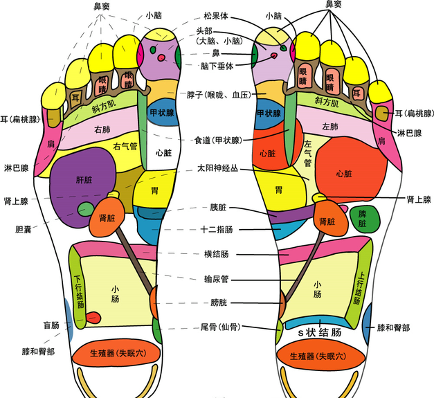 这筋拉长一寸,寿长十年,你信不信?