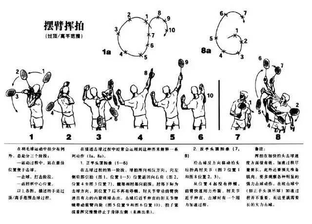 羽毛讲堂