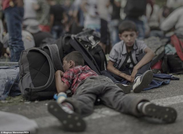 战争之殇:命运悲惨的叙利亚难民儿童