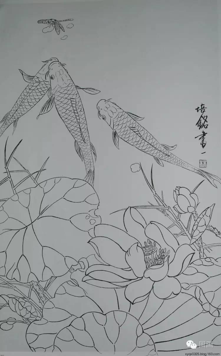 白描鲤鱼图工笔荷花红鲤鱼画法解析3鼻孔 4触须 5腮孔 6鳃盖 7