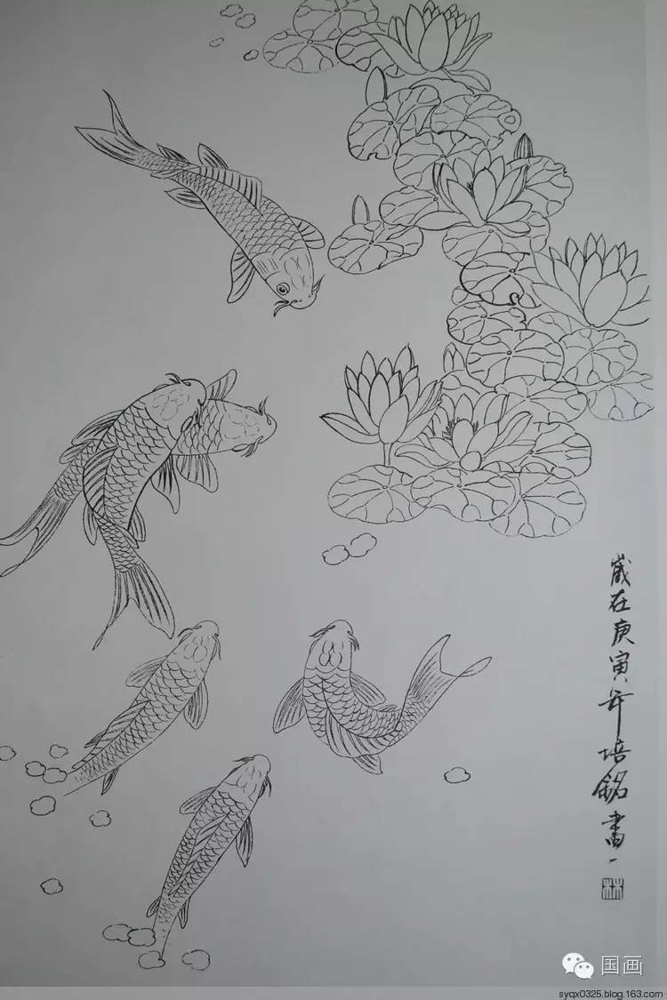 莲年有鱼白描图片