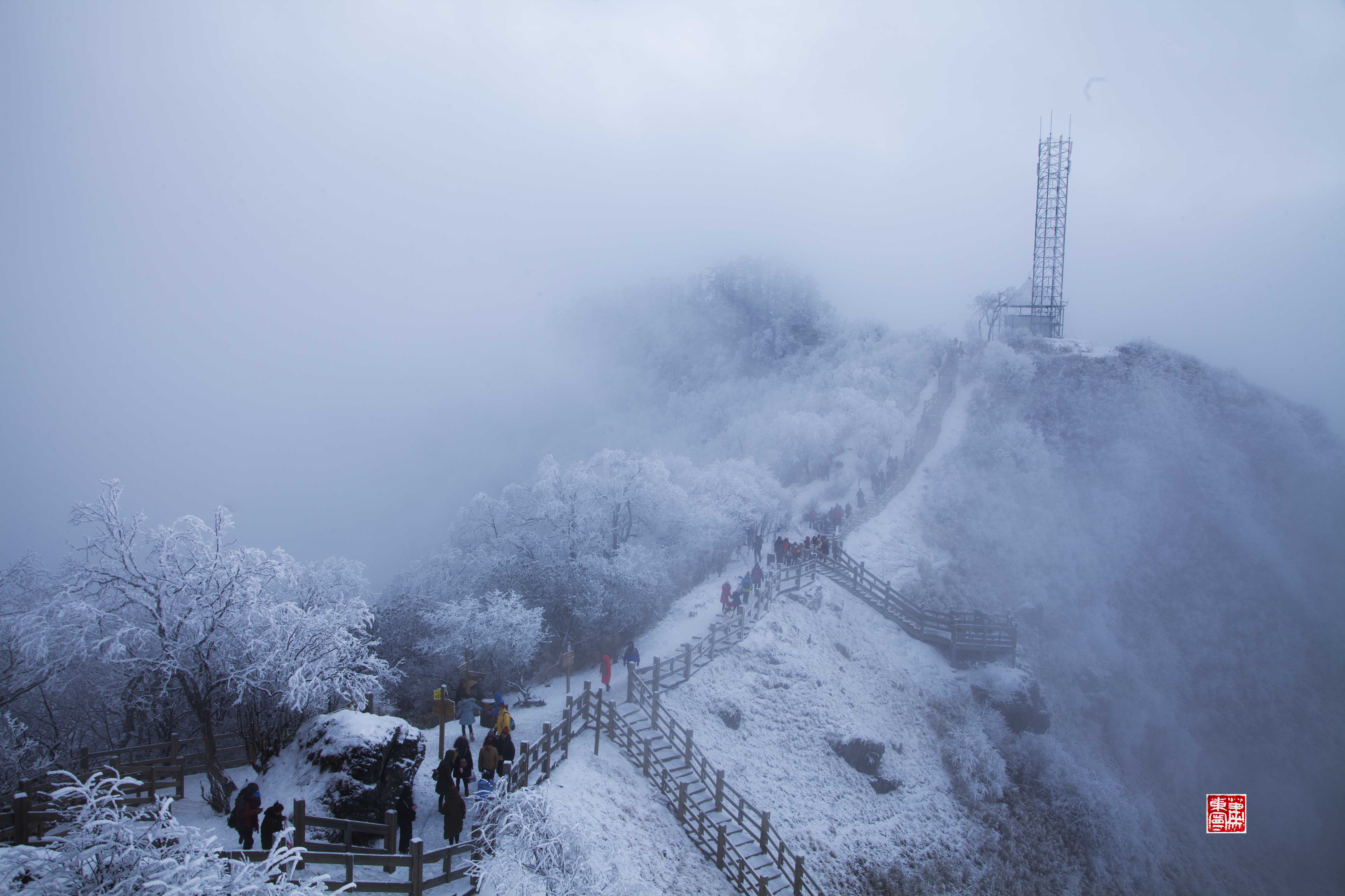 西岭飘雪图片