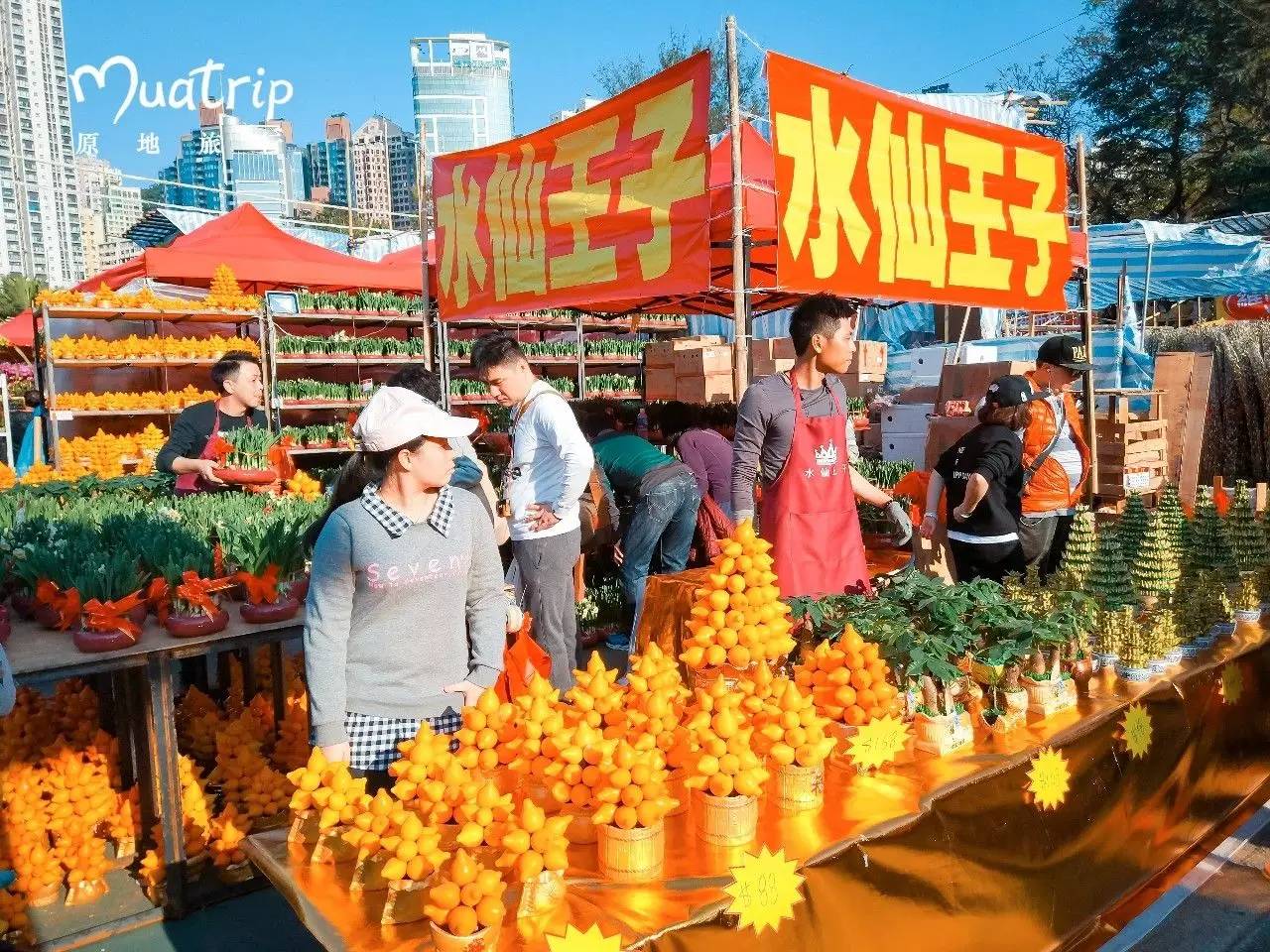 雞年花市怎麼玩香港密探來報玩樂