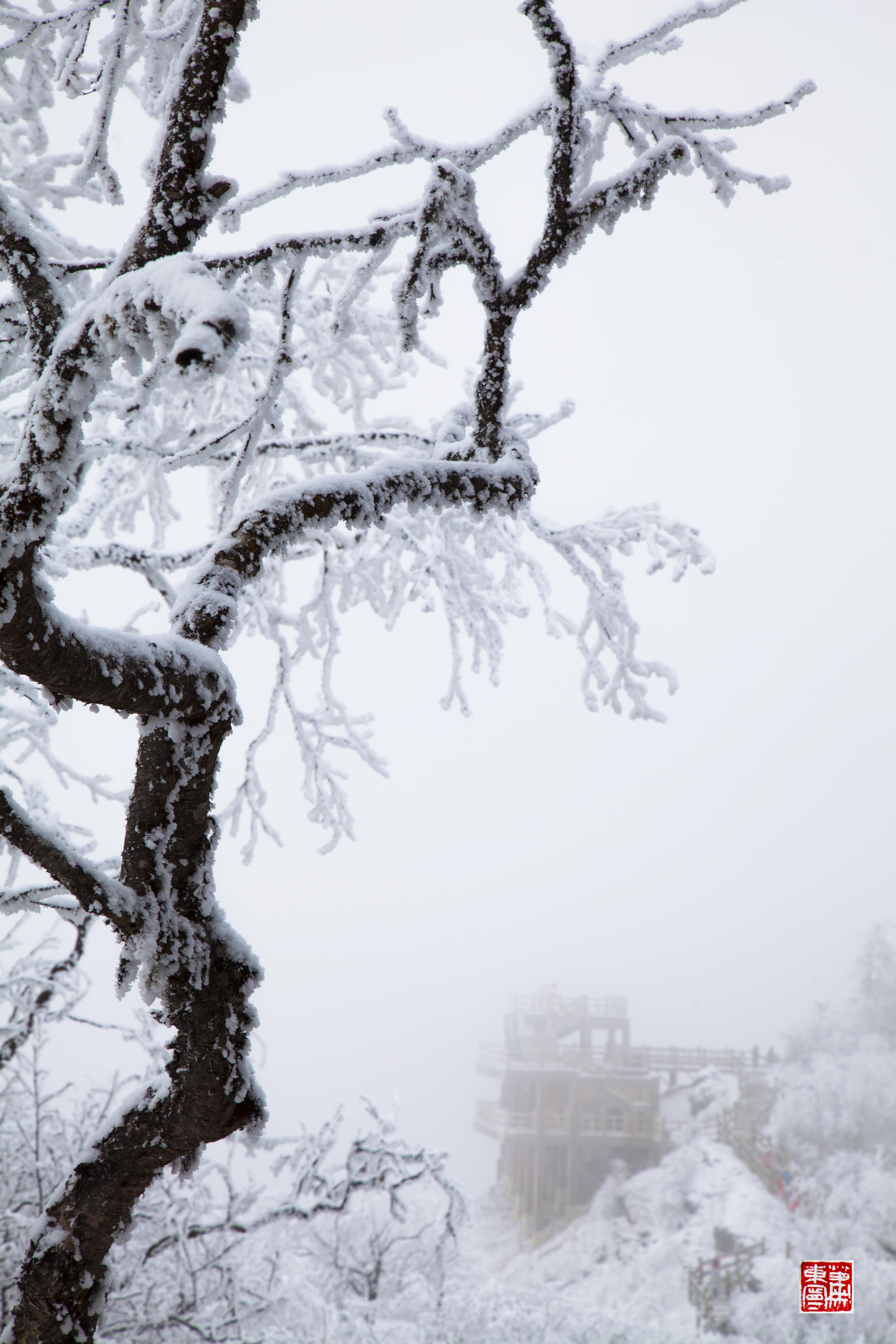 西岭飘雪图片