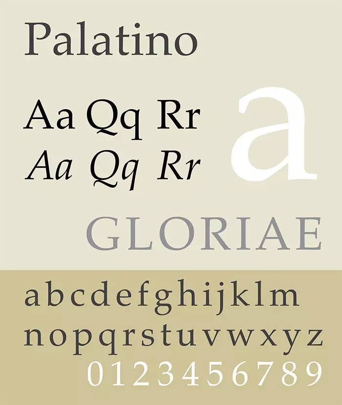 palatino字体图片