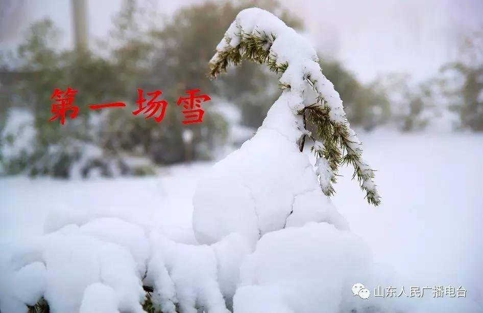 峻青《第一场雪》图片