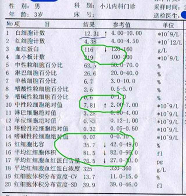 血常规33项明细图片图片