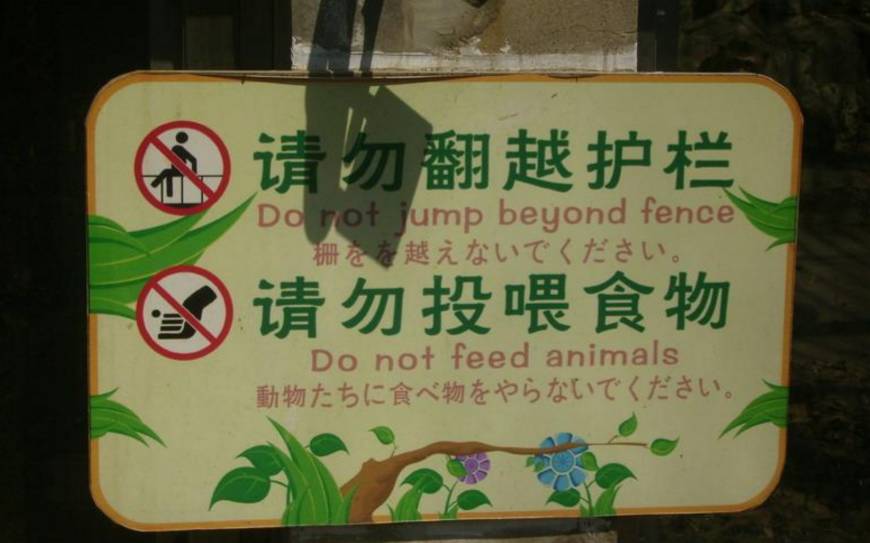 动物园规则它图片