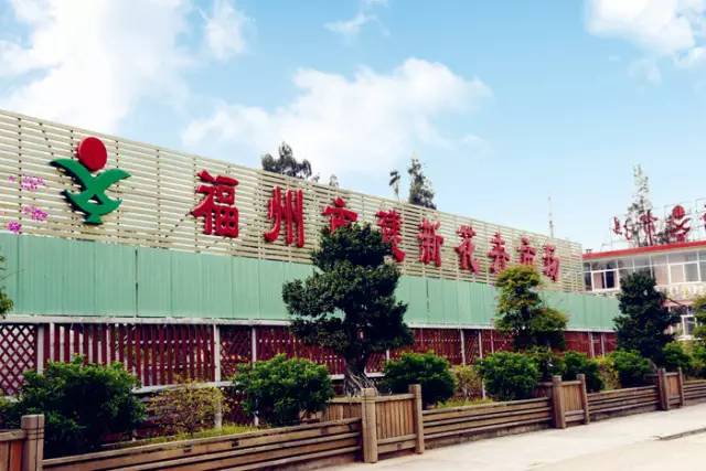 福州鳌峰花鸟市场图片