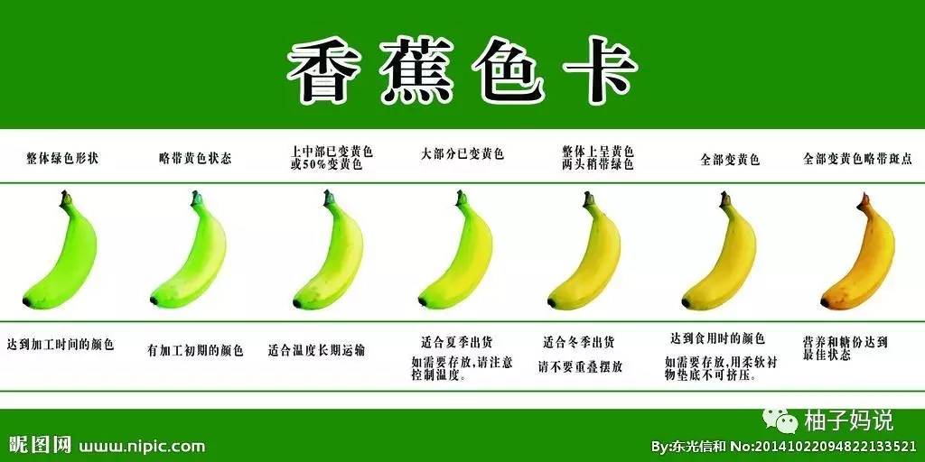 香蕉对比色卡图片