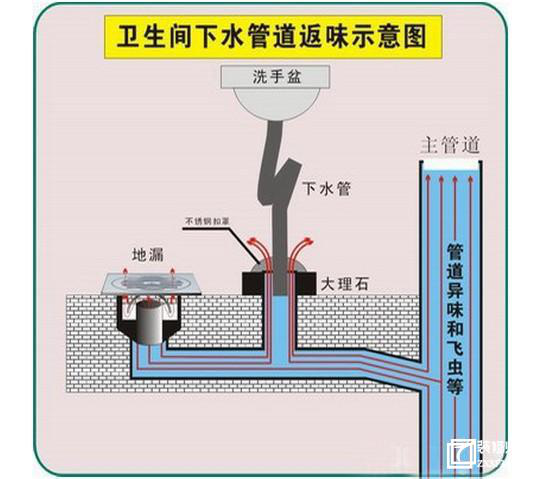 地漏的重要性,不可忽视!