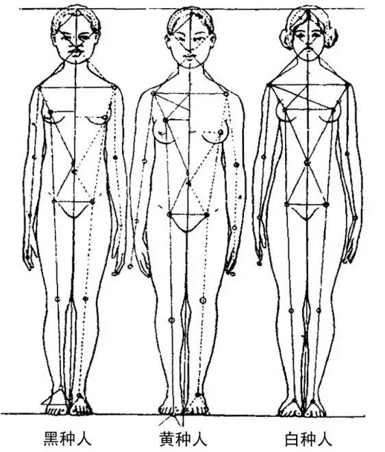 黑种人,白种人,黄种人的体型不一样,促使我们穿衣方式也不一样