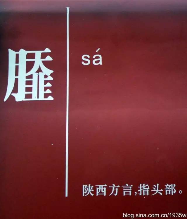陕西方言sa字图片图片