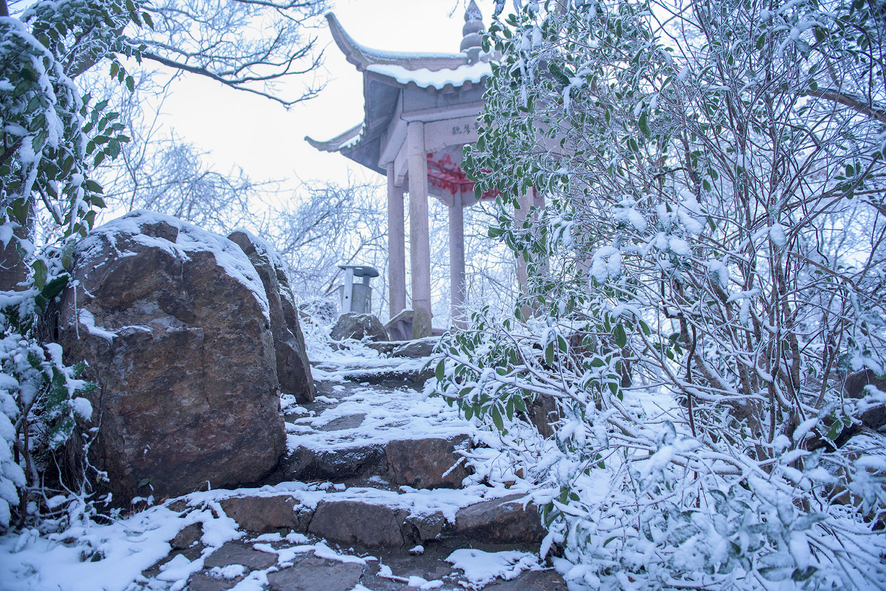 南京紫金山冬天图片图片